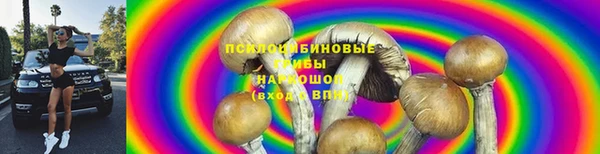 винт Баксан