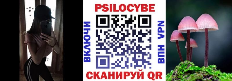 ОМГ ОМГ как войти  Вичуга  Псилоцибиновые грибы GOLDEN TEACHER 